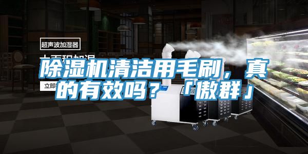 草莓小视频黄色清潔用毛刷，真的有效嗎？「傲群」