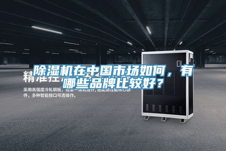 草莓小视频黄色在中國市場如何，有哪些品牌比較好？