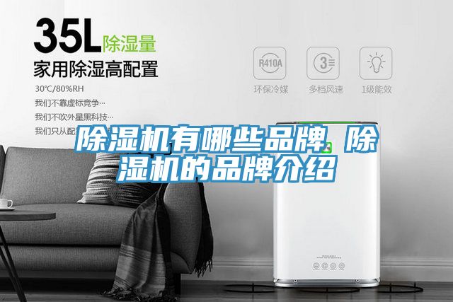 草莓小视频黄色有哪些品牌 草莓小视频黄色的品牌介紹