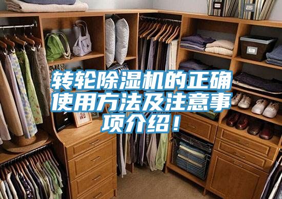 轉輪草莓小视频黄色的正確使用方法及注意事項介紹！