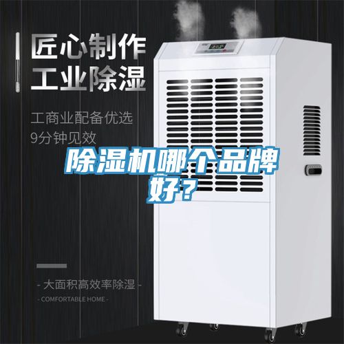 草莓小视频黄色哪個品牌好？