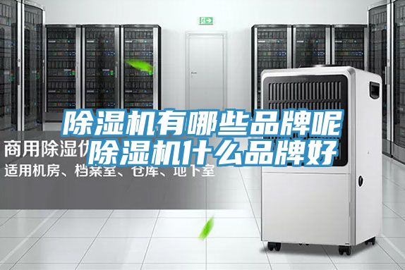 草莓小视频黄色有哪些品牌呢 草莓小视频黄色什麽品牌好