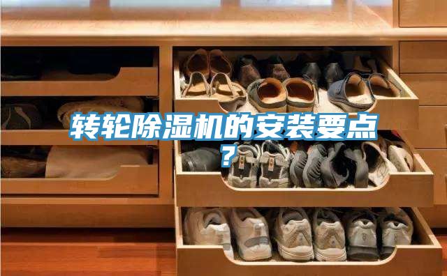 轉輪草莓小视频黄色的安裝要點？