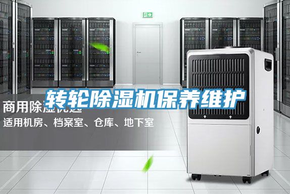 轉輪草莓小视频黄色保養維護