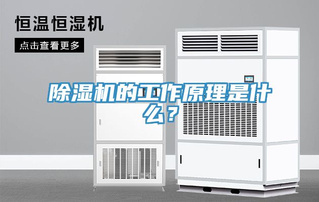 草莓小视频黄色的工作原理是什麽？