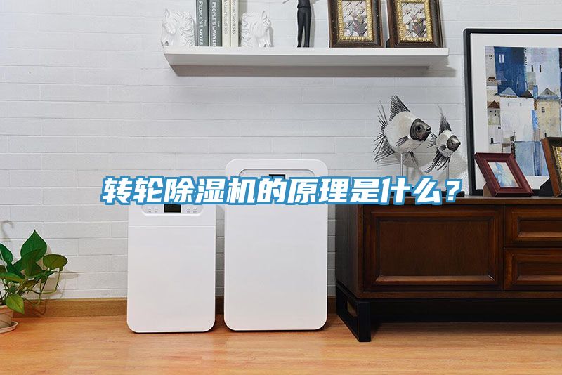 轉輪草莓小视频黄色的原理是什麽？