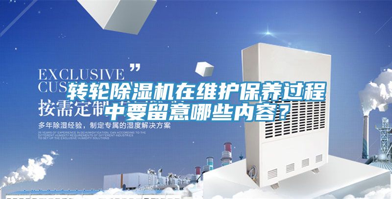 轉輪草莓小视频黄色在維護保養過程中要留意哪些內容？