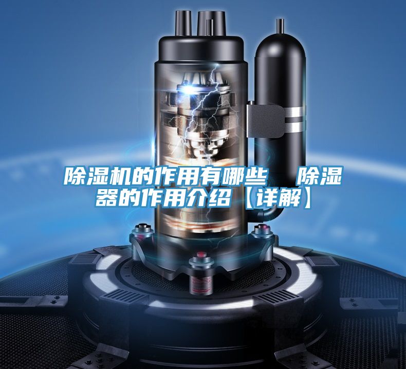 草莓小视频黄色的作用有哪些  除濕器的作用介紹【詳解】