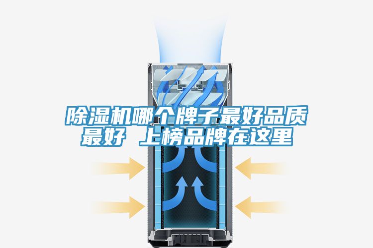 草莓小视频黄色哪個牌子最好品質最好 上榜品牌在這裏