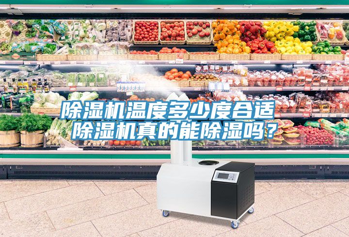 草莓小视频黄色溫度多少度合適 草莓小视频黄色真的能除濕嗎？