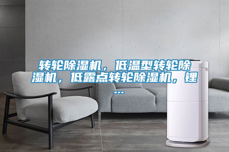 轉輪草莓小视频黄色，低溫型轉輪草莓小视频黄色，低露點轉輪草莓小视频黄色，鋰 ...