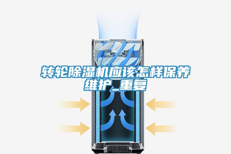 轉輪草莓小视频黄色應該怎樣保養維護_重複