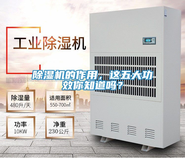 草莓小视频黄色的作用，這五大功效你知道嗎？