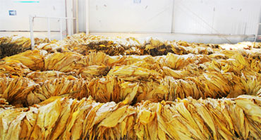 煙草行業環境加濕濕度控製解決方案1